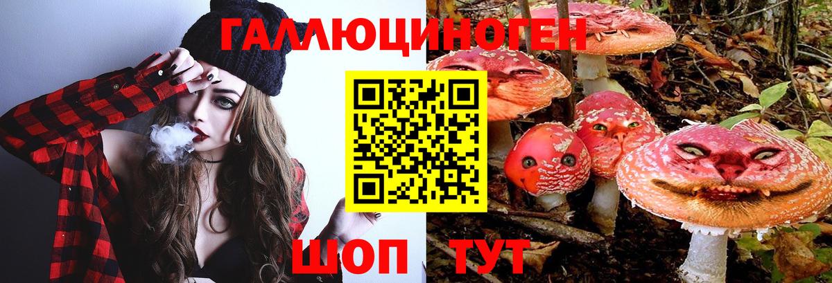 Галлюциногенные грибы Cubensis Когалым